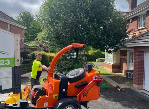 Why Regular Tree Inspections in South Wales Prevent Expensive Damage Later