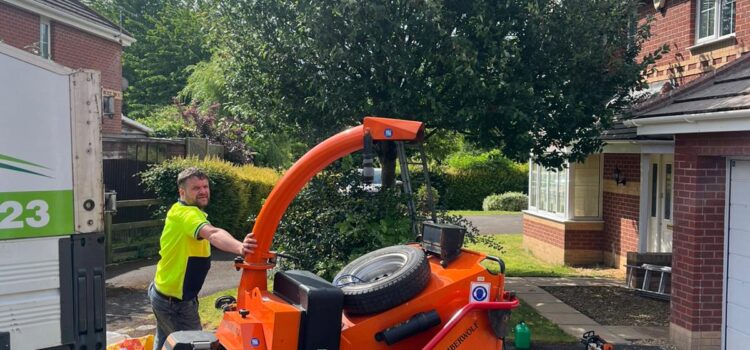 Why Regular Tree Inspections in South Wales Prevent Expensive Damage Later