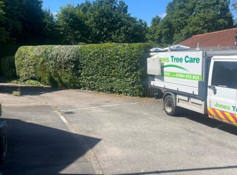 Jones tree care south wales