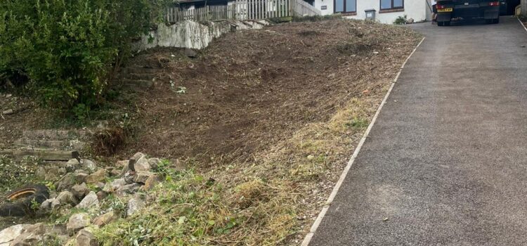 Garden Clearance in Sebastopol