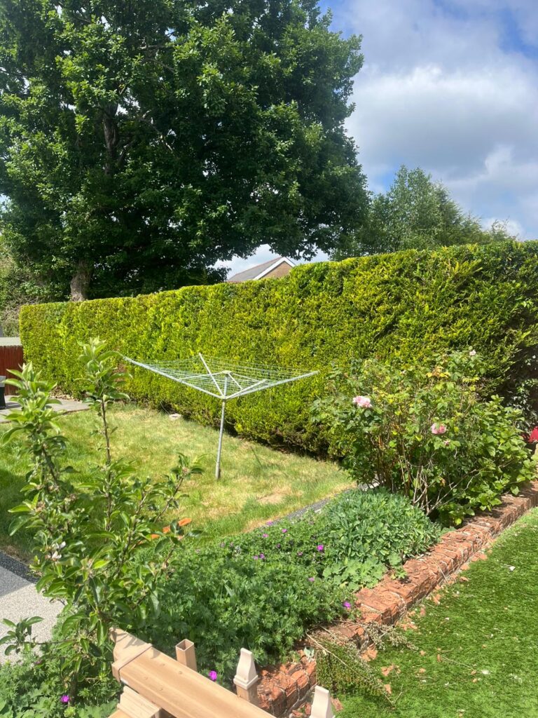 Hedge Trimming in South Wales