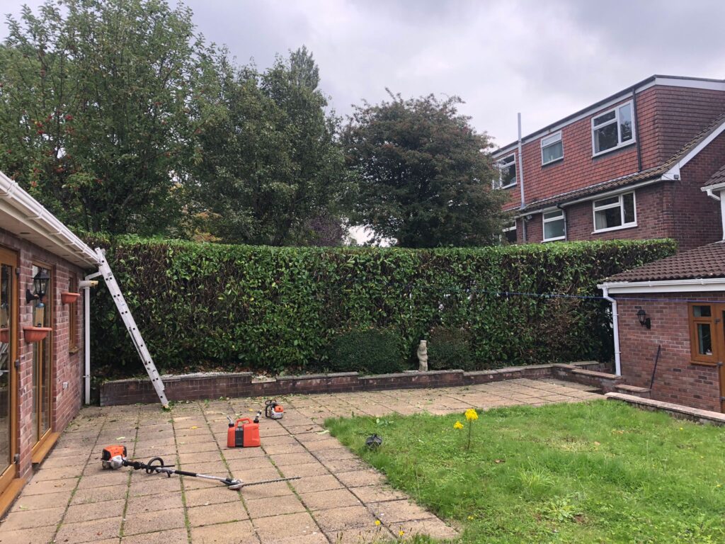 Hedge Trimming in Pontypridd