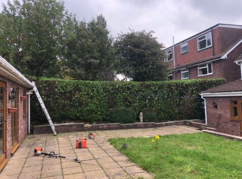 tree surgery south Wales