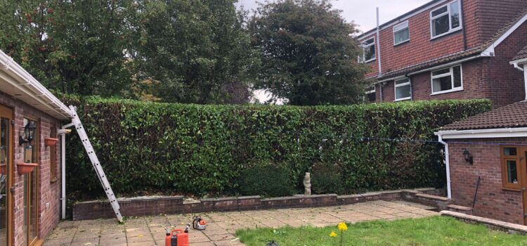Hedge Trimming in Pontypridd