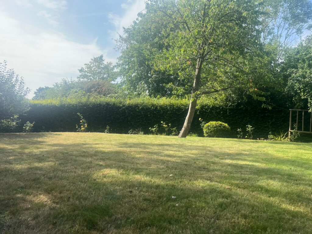 Local Hedge Maintenance in Abergavenny