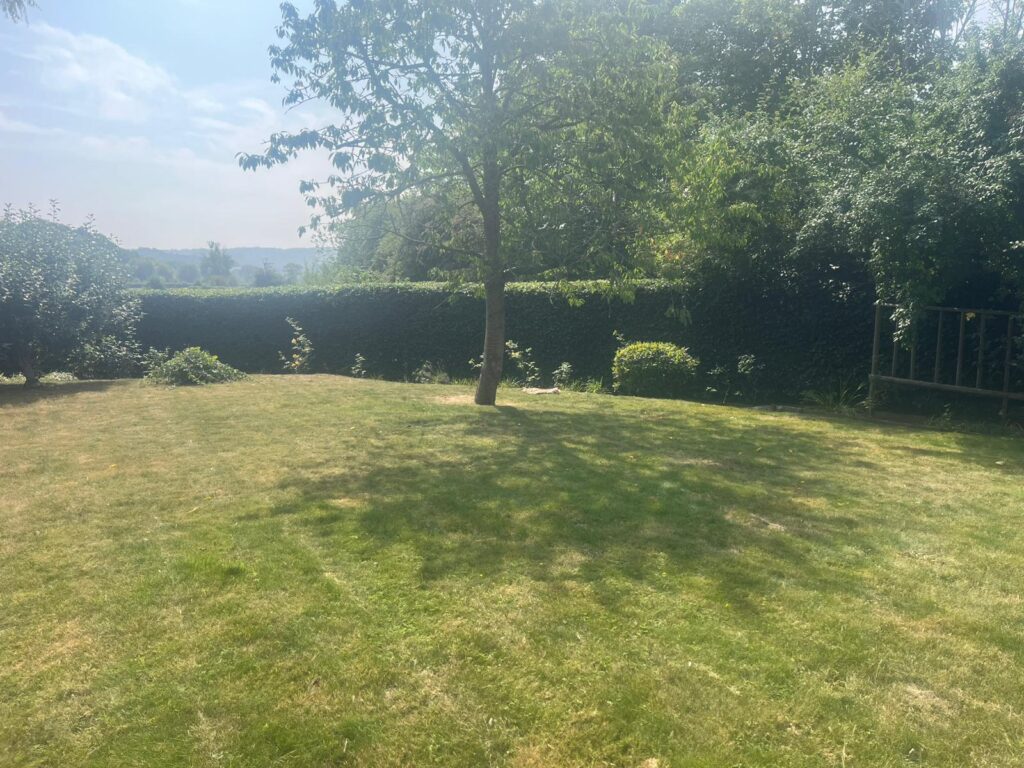 Local Hedge Maintenance in Abergavenny