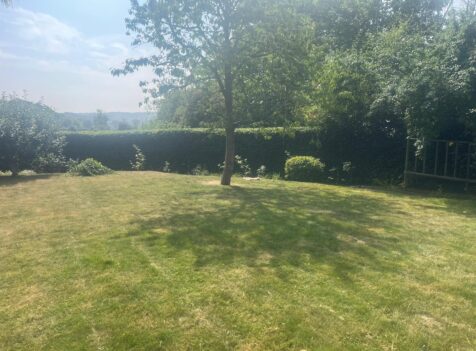Local Hedge Maintenance in Abergavenny