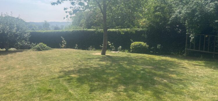 Local Hedge Maintenance in Abergavenny