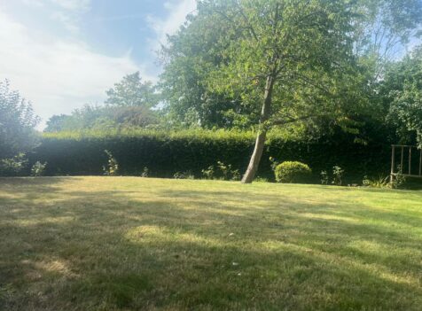 Local Hedge Maintenance in Abergavenny