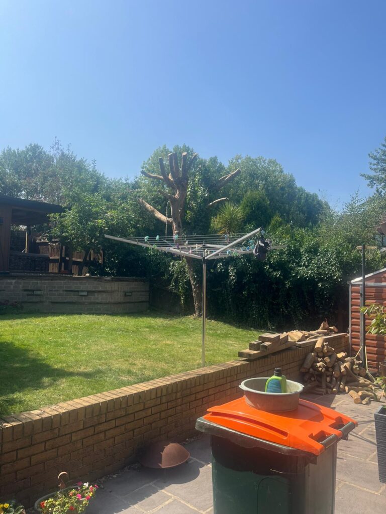 Tree surgery south wales