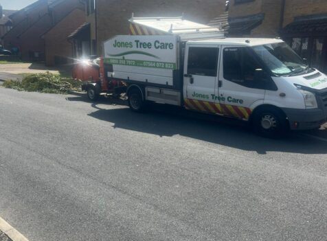 Tree surgery south wales