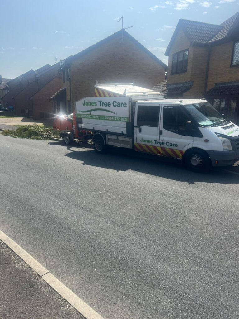 Local Tree Surgery in Abertillery
