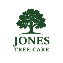 Jones Tree Care South Wales