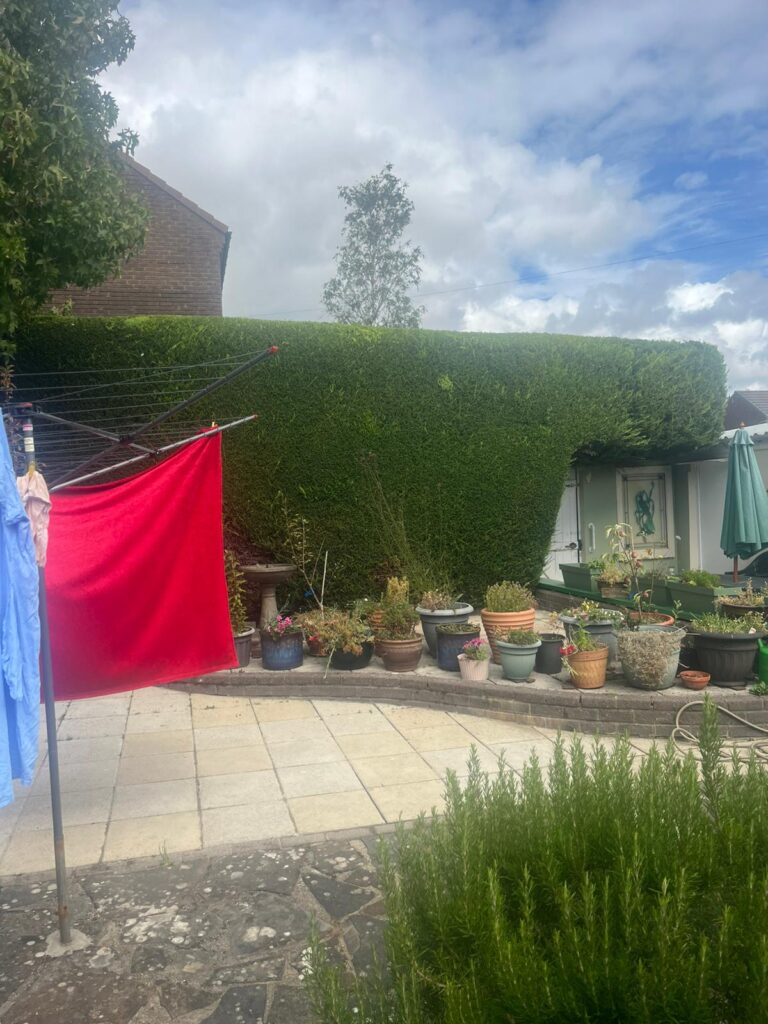 How Much Does Hedge Trimming Cost in Pontypool