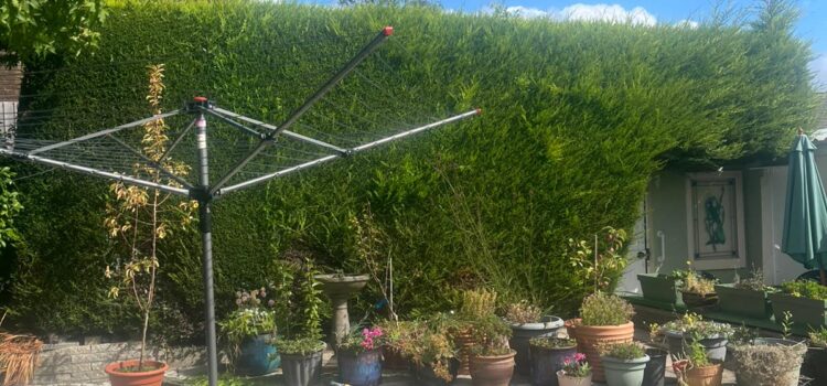 Trim or Remove Leylandii Hedges in Pontypool