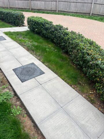 low maintenance garden landscaping in newport