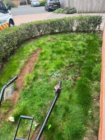 low maintenance garden landscaping in newport