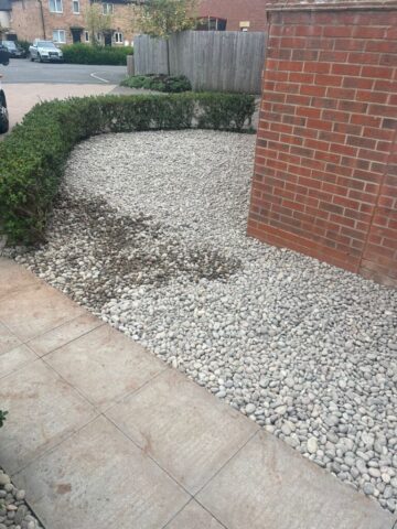 low maintenance garden landscaping in newport