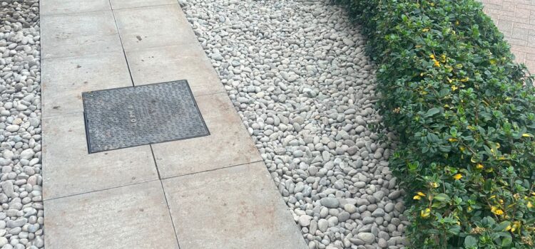 low maintenance garden landscaping in newport