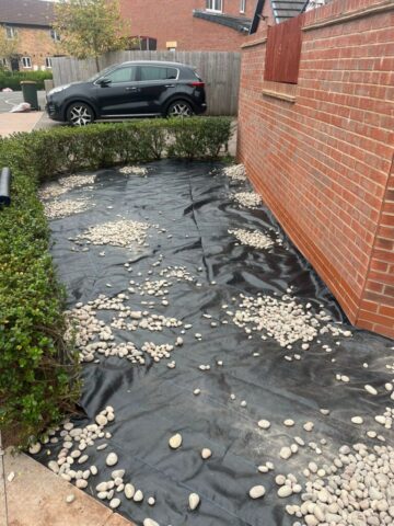 low maintenance garden landscaping in newport