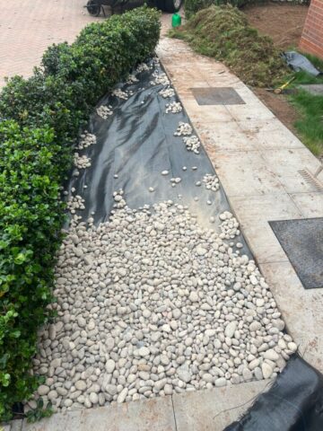 low maintenance garden landscaping in newport