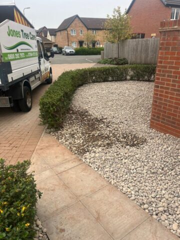 low maintenance garden landscaping in newport