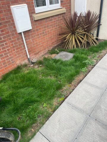 low maintenance garden landscaping in newport