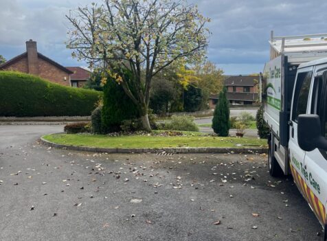 Tree pruning Chepstow