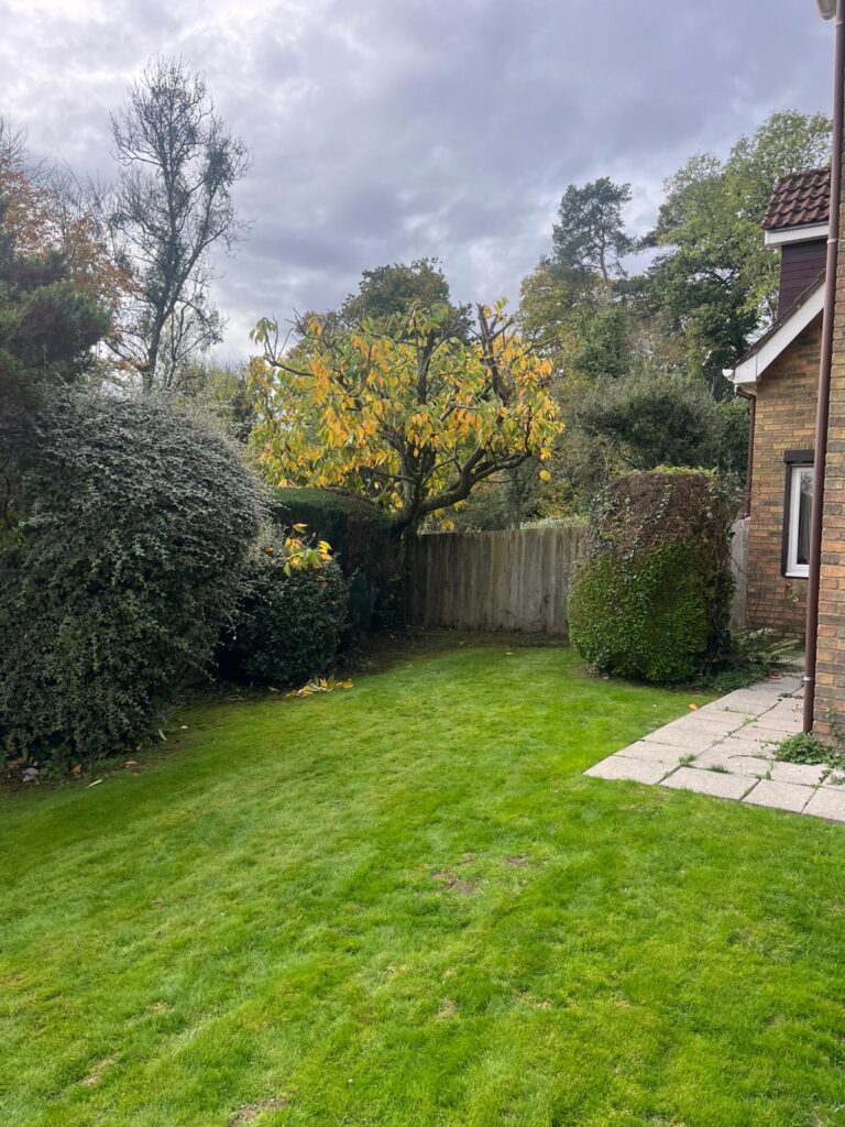 Tree pruning Chepstow