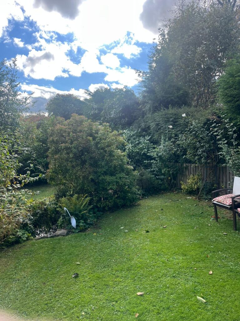 hedge shrub cutting in blackwood