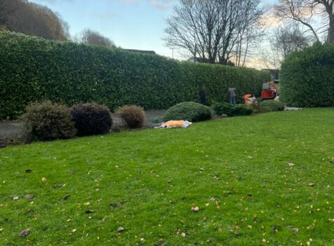 hedge maintenance pontypool