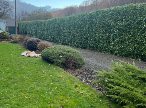 hedge maintenance pontypool