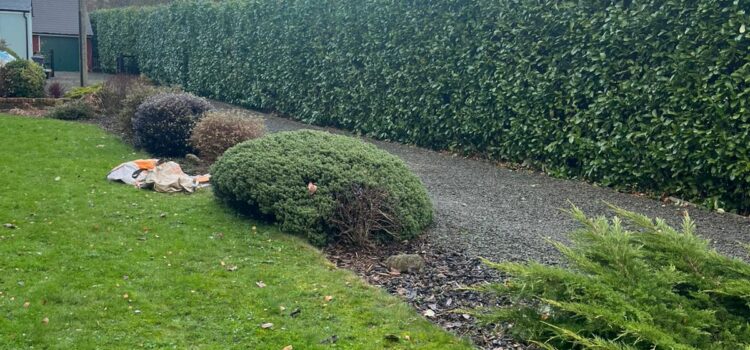 hedge maintenance pontypool