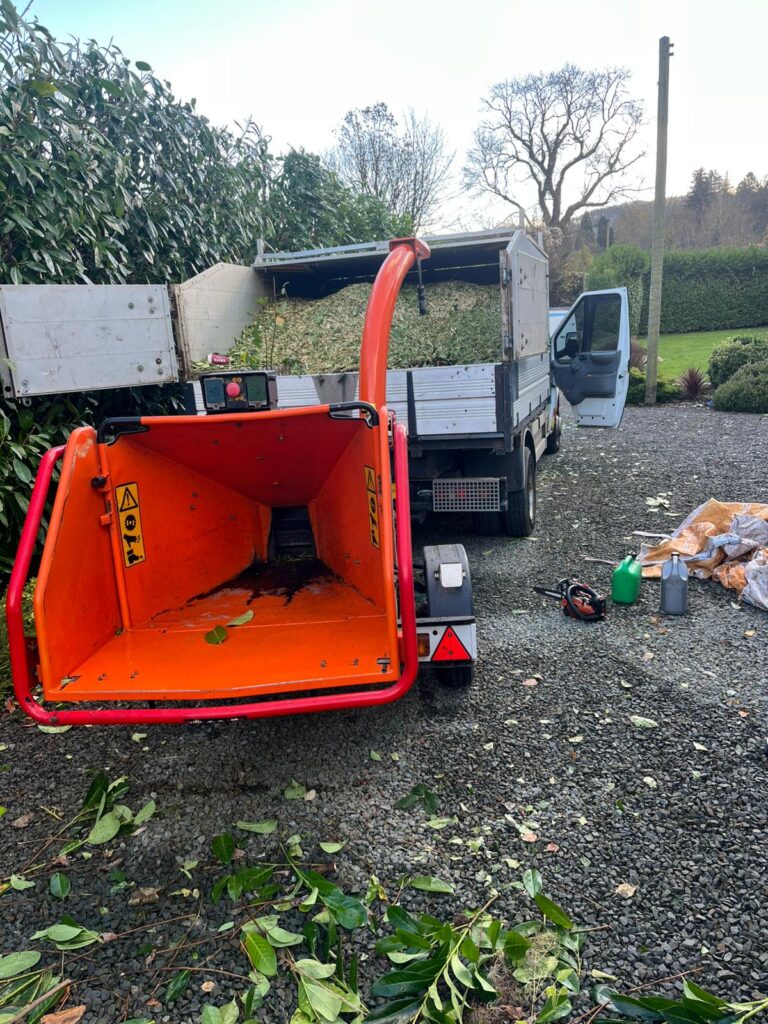 hedge maintenance pontypool