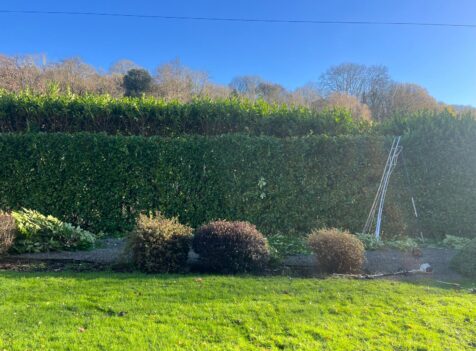 hedge maintenance pontypool