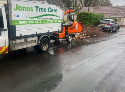 hedge and tree maintenance in Nelson