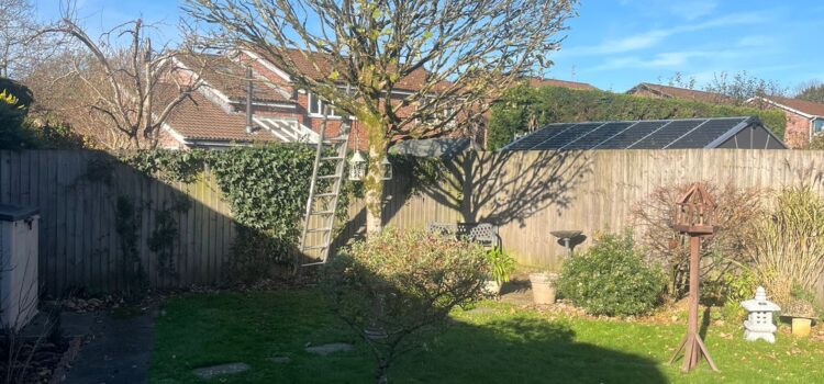 Tree Pruning Rogerstone