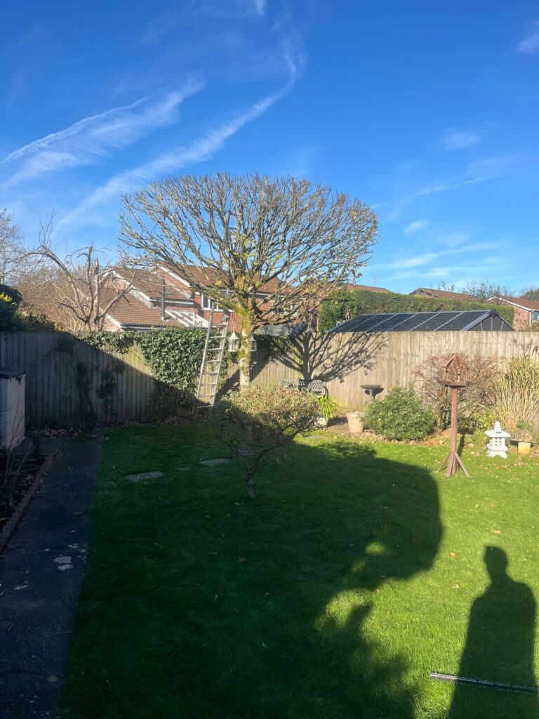 Tree Pruning Rogerstone