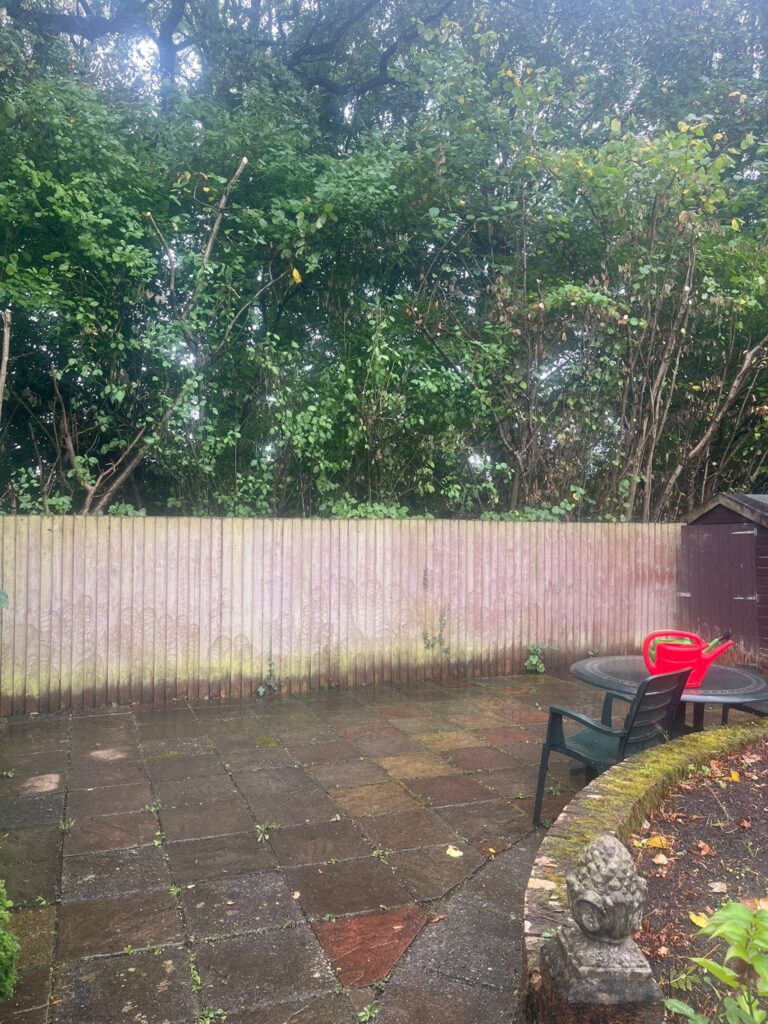 Hedge Maintenance in Cardiff