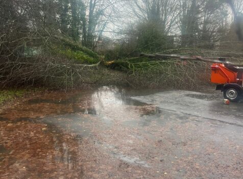 Fallen Tree Removal in Brecon