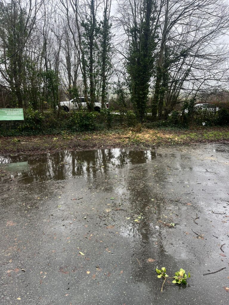Fallen Tree Removal in Brecon
