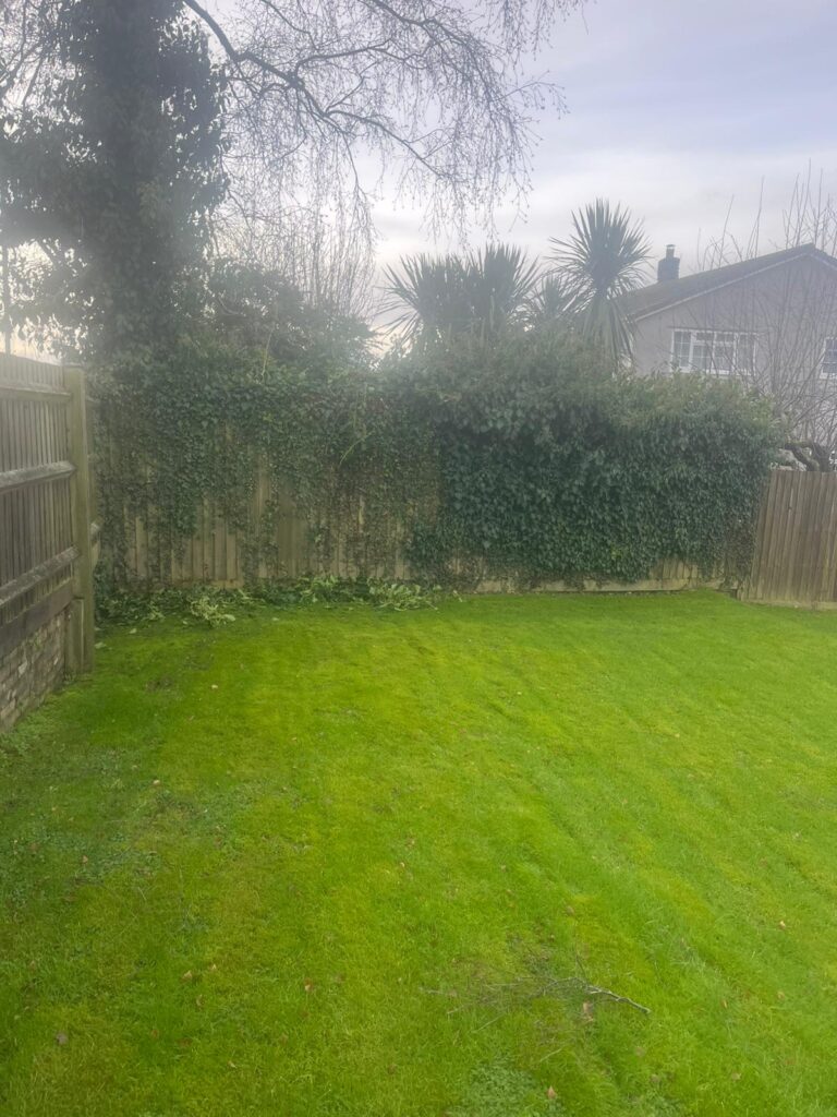 Hedge Cutting in Chepstow