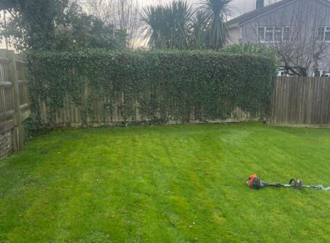 Hedge Cutting in Chepstow