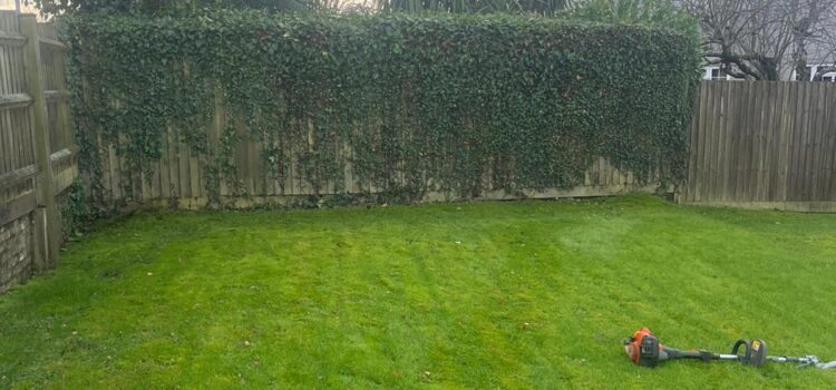 Hedge Cutting in Chepstow