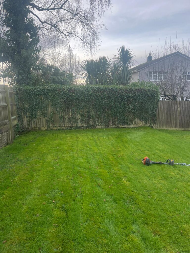 Hedge Cutting in Chepstow