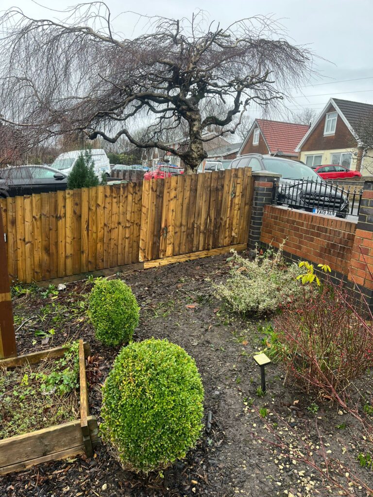 tree removal Hengoed