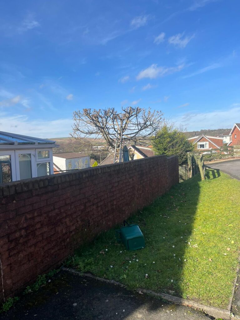 Hedge Maintenance in Hengoed