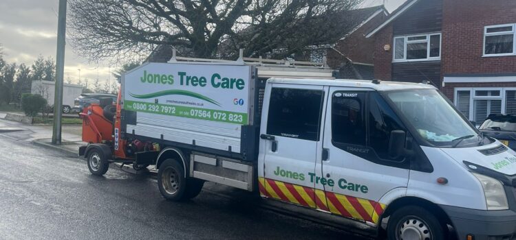 Professional tree pruning in Barry