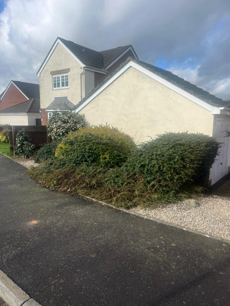 Hedge maintenance Nelson