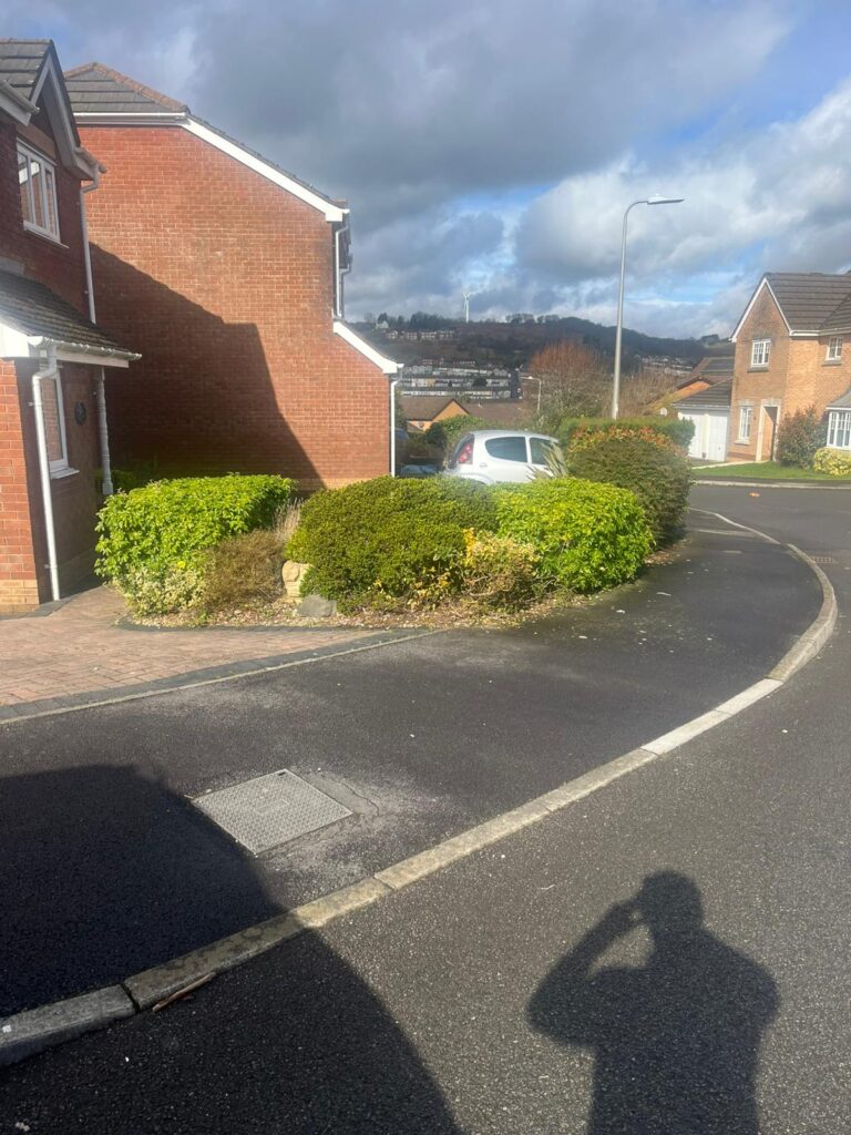 hedge maintenance Nelson